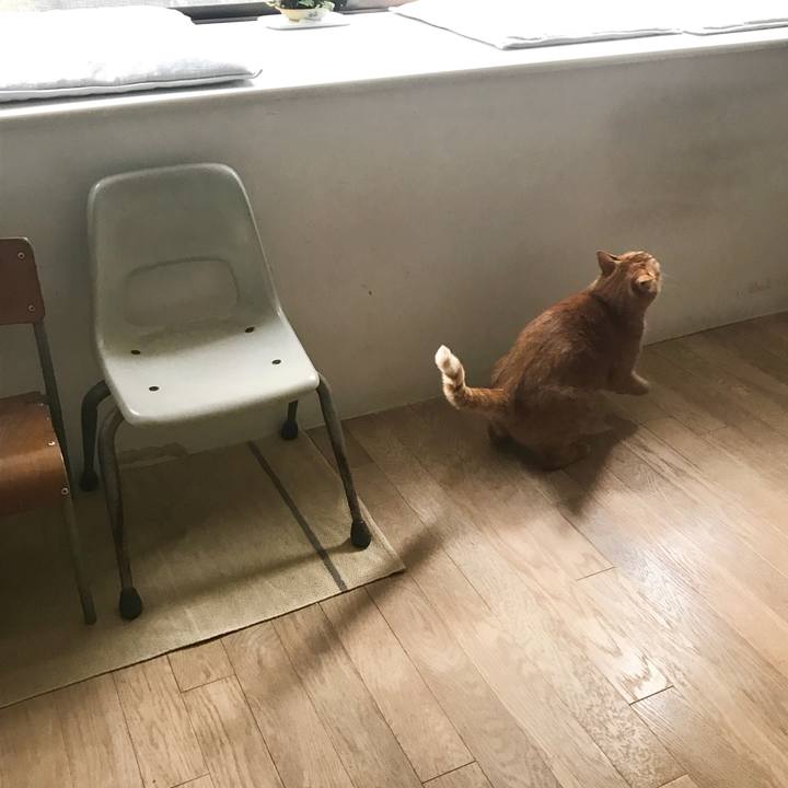 44b446cf b3de 4ea1 9db7 f02692865508