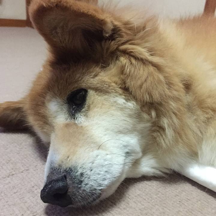 44b4b532 c5b7 4cc0 a71d 01282be59ccc