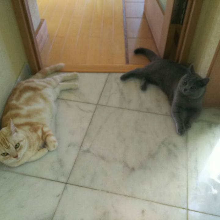 44b50523 0d81 484a ac29 44bf082e9eb6