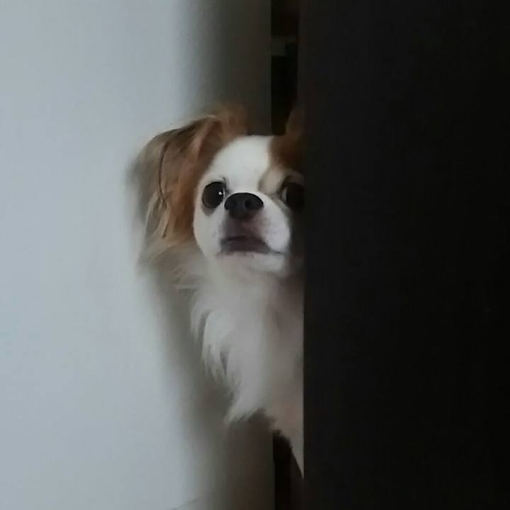 44b60a2c 34ba 49de 8e88 4a0c87f52dc6