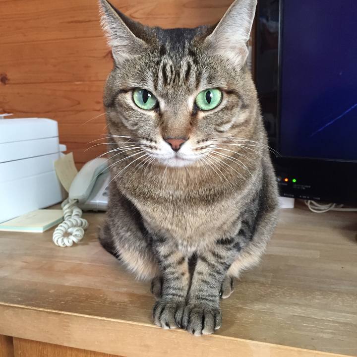 44b6248e be3f 46f5 b409 bd997f9577fc