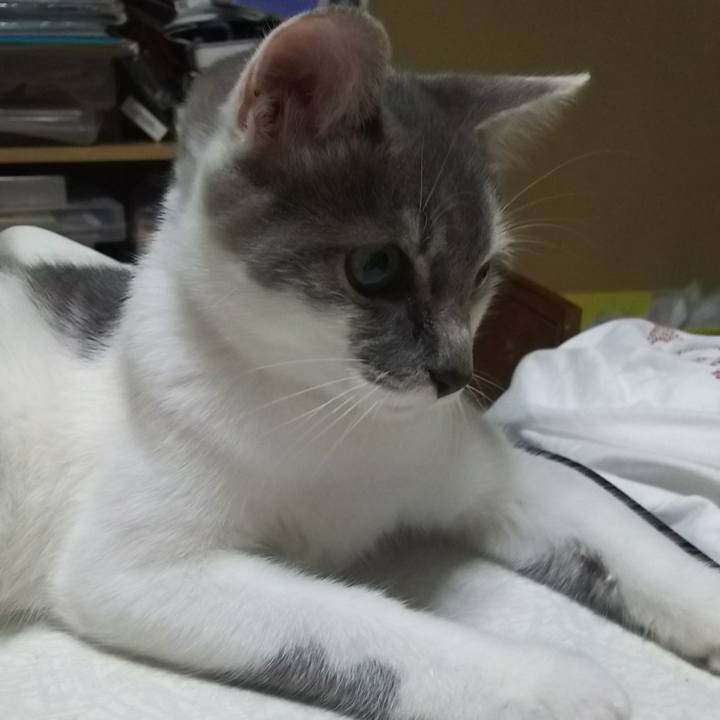 44b65e57 a668 418f a158 8d9bfc46a41d