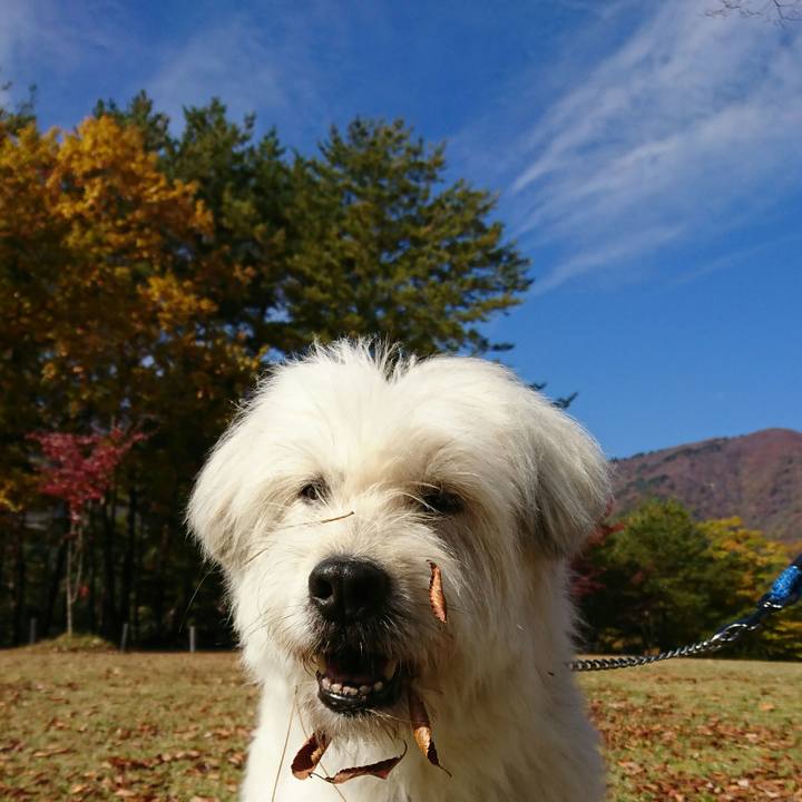 44b661ea e755 4850 9869 dbf999901551