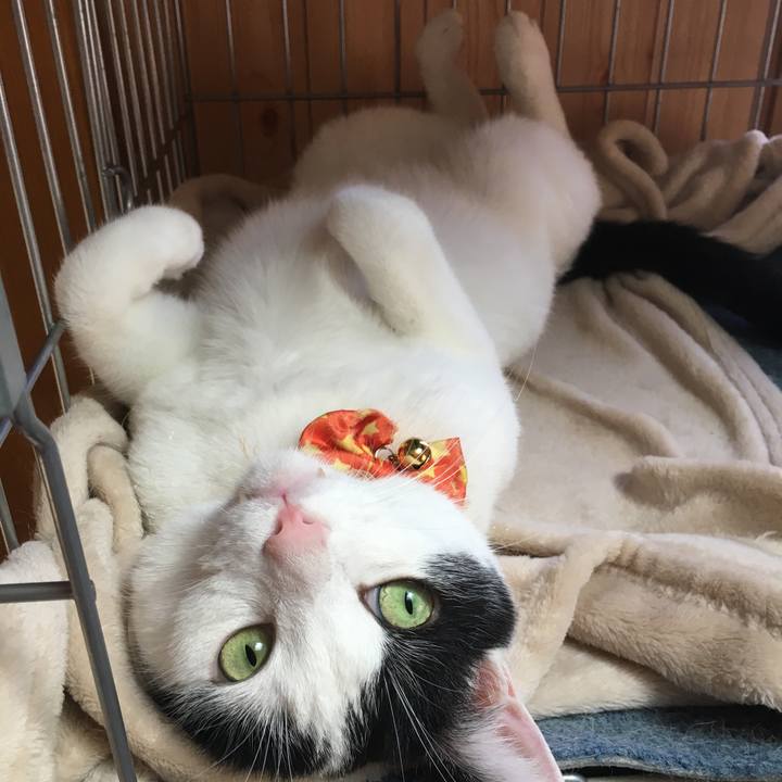 44b6a29c a28d 4220 a25f 9751511213f3