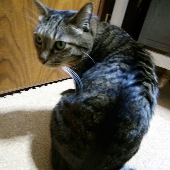 44b6af64 301a 47cc bf42 c97f224a4993