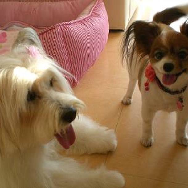 44b6e252 1004 41d0 adf9 a507214f00cb