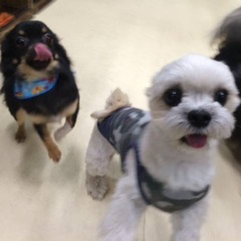 44b76ee3 5b65 4d17 96a9 662c9ad99593