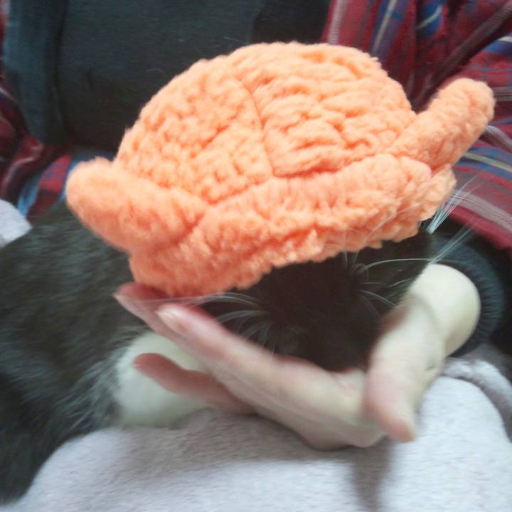 44b7fd55 68ce 45be 9408 70bcca7806fe