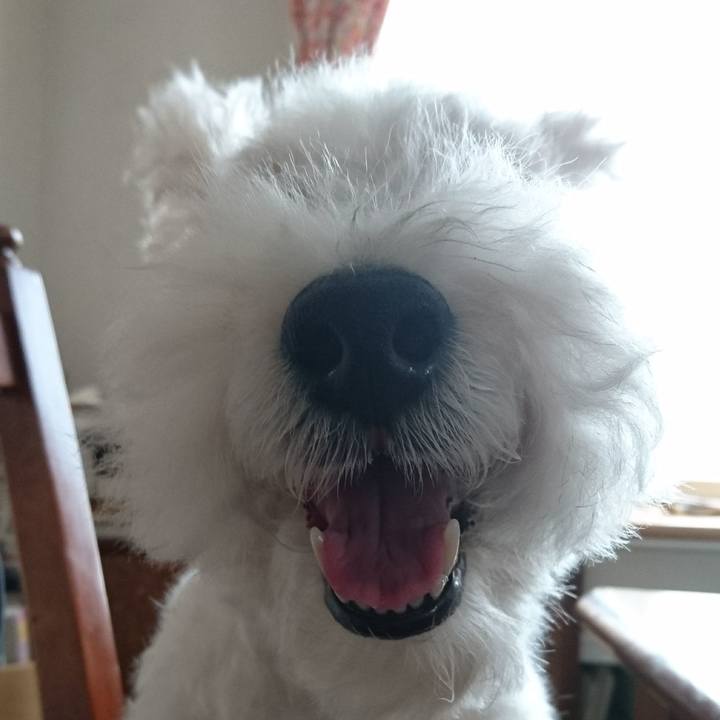 44b856b3 55c4 4c43 b59e ac7e51c0d9c1