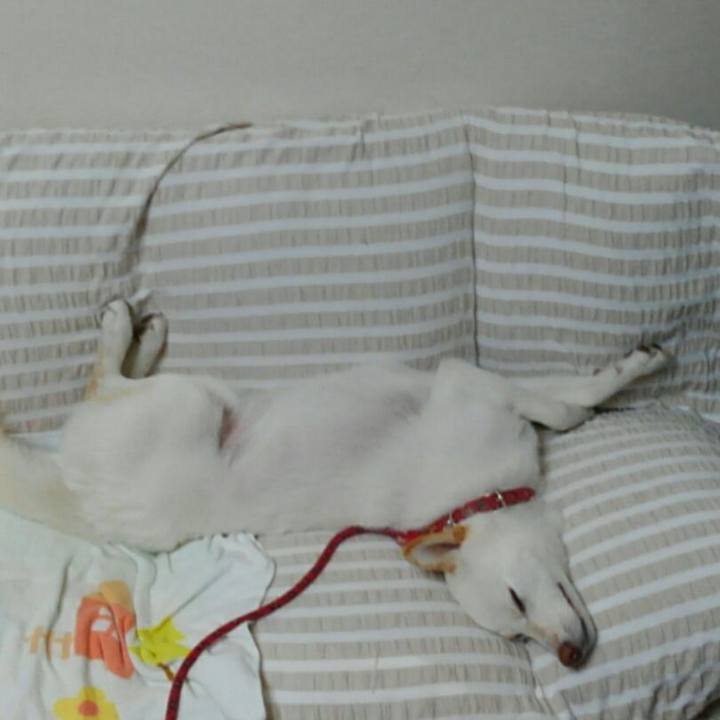 44b88773 3bbc 41c4 94e5 d163d59e0337