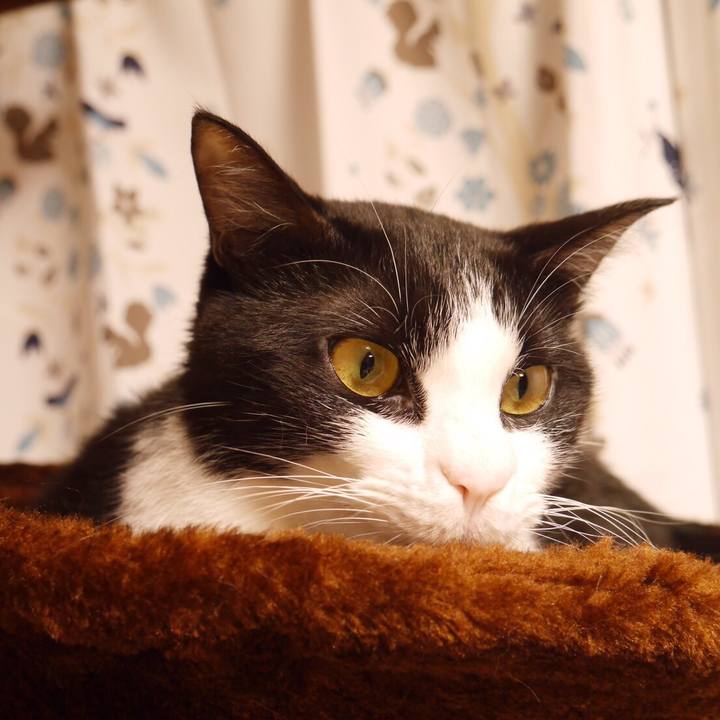 44b900f2 6dbd 4800 a011 605890f03c10