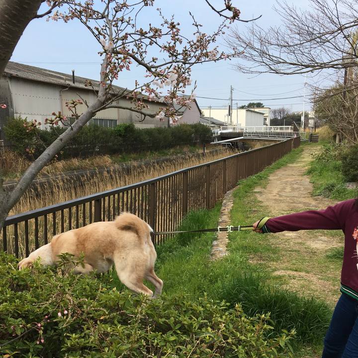 44b969c8 ec2a 4760 a2c5 c020feda46fe