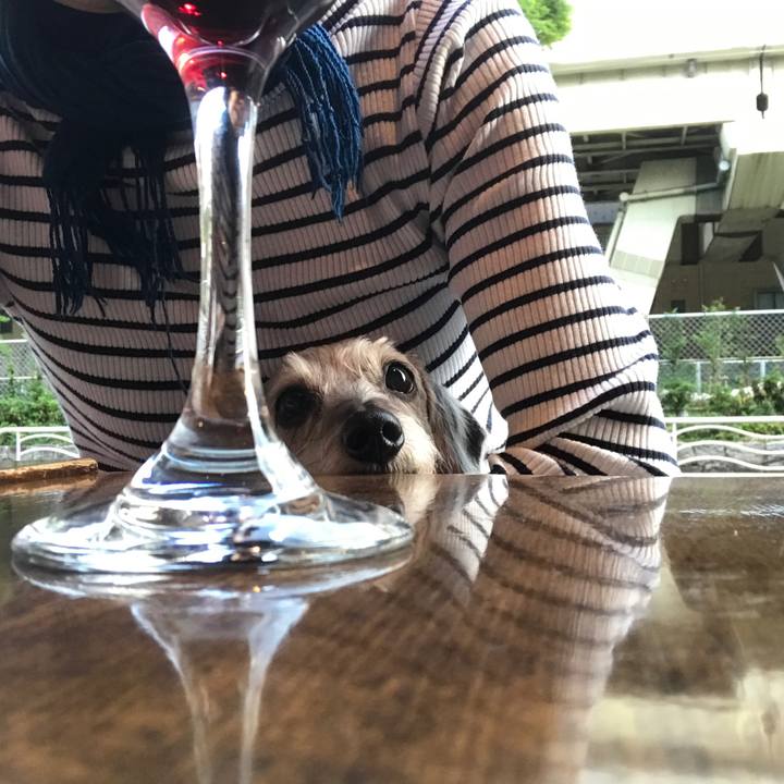 44baeca3 0d29 4aff 9890 4287294863df