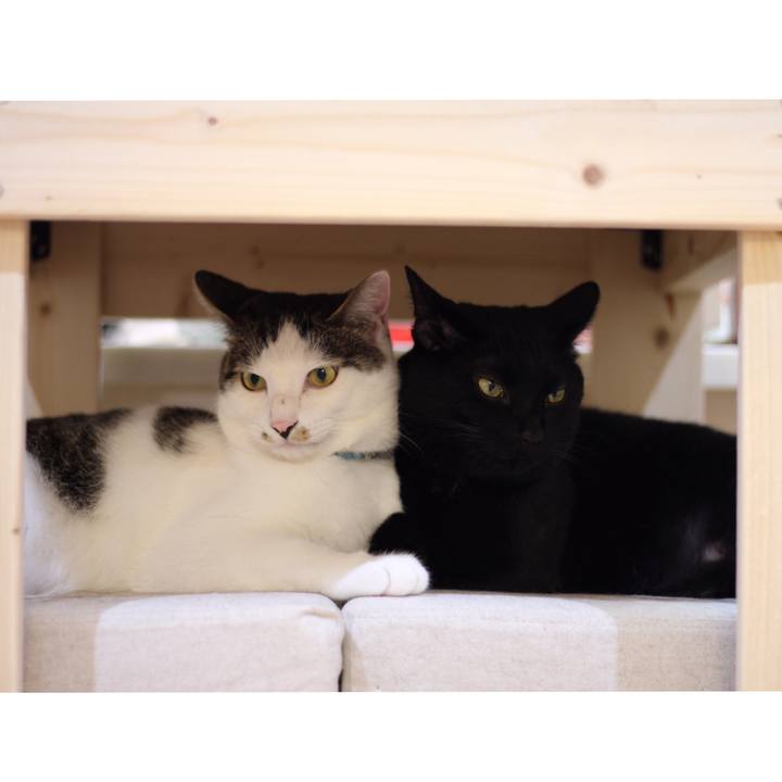 44bb2fe0 bf6a 4ebd a3d5 658edb2ea154