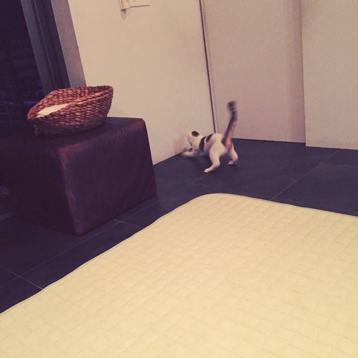 44bb3ec4 cb8c 4621 8d53 388429c38cae