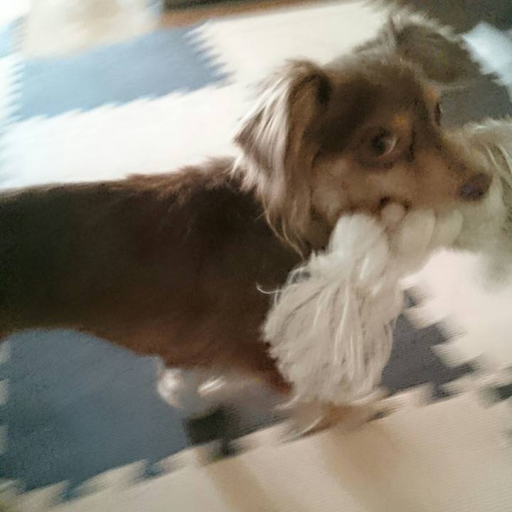 44bb8d33 a9ff 4051 b352 c5739b03eb4e