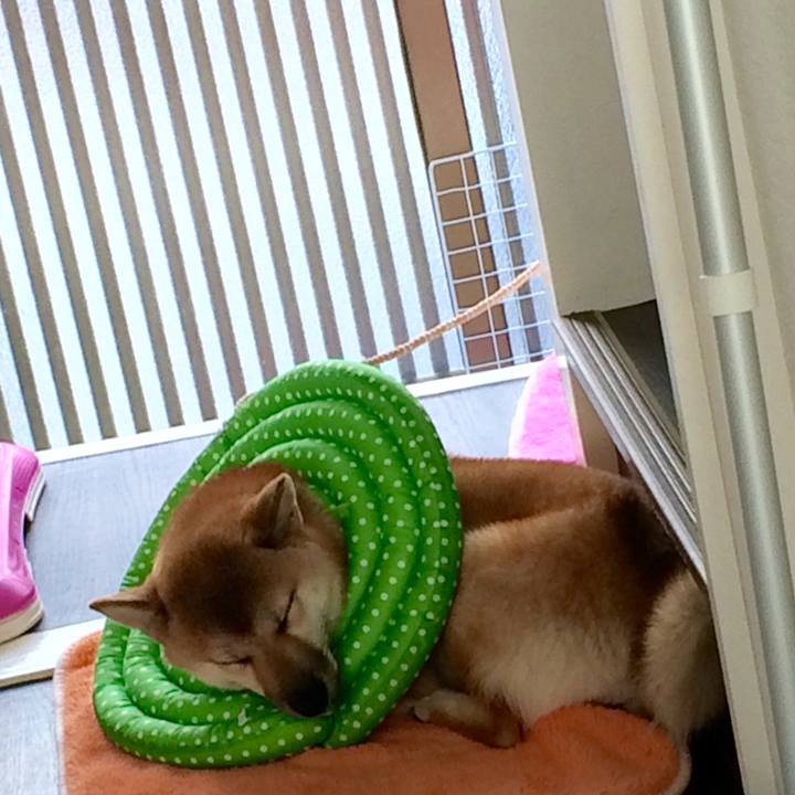 44bb9773 654c 4be2 b5b5 db7689ac7da8