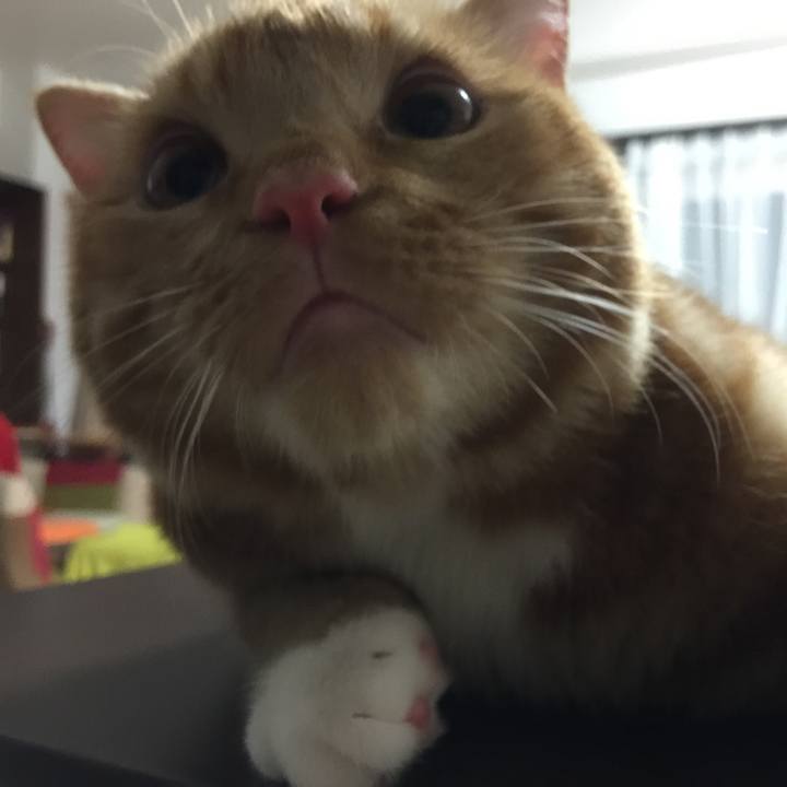 44bbdacf 3660 4d75 afa8 61d0462a11e6