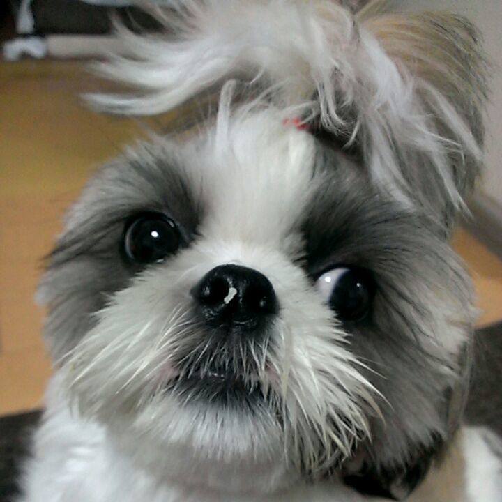 44bc3706 455d 4d99 977e ee92c2441a84