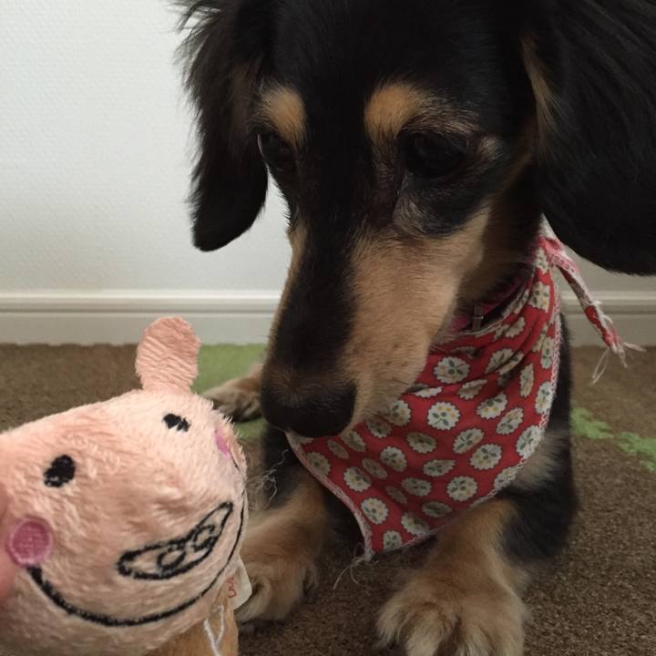 44bc67a6 b7e2 4ad4 a9c9 20d589e767ae