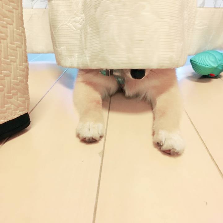 44bc9bda da26 48ab 94f5 6c37740d2c8f