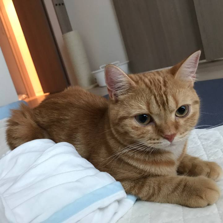 44bcfc11 2e16 4ae1 a37c f2e9458c4673