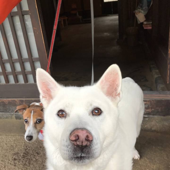 44bd1404 65e6 405d b4ab f3c550fd97c9