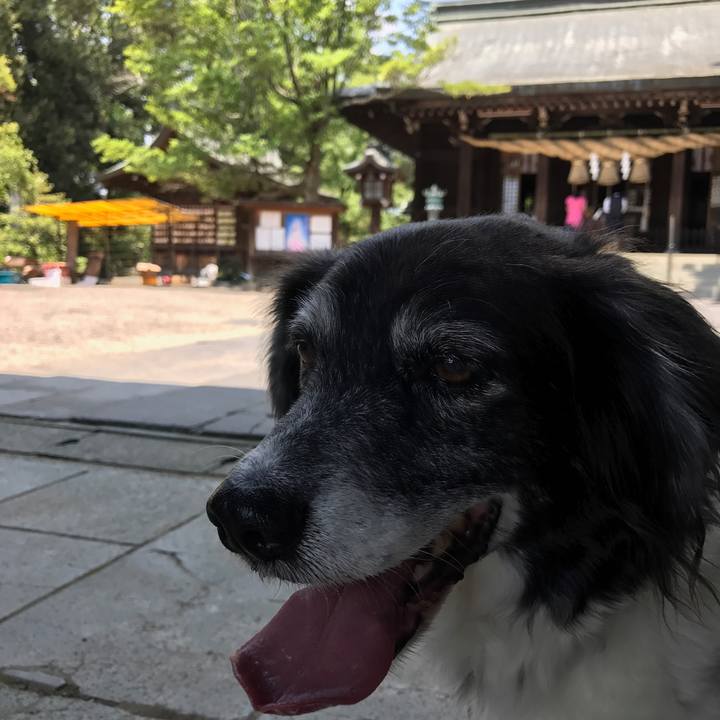 44bd489a 0348 4078 b782 ada3e38c4700