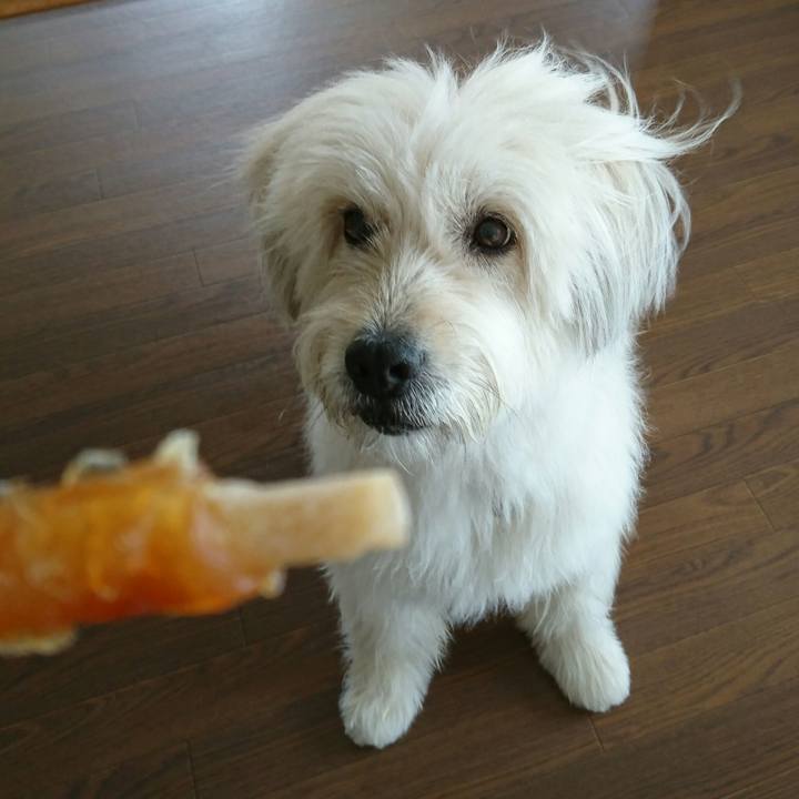 44bde49f 1a3c 4c87 aa7d 80517aa526aa