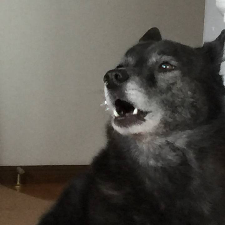 44beab6e f2d8 41c5 8092 6c9fdf525369