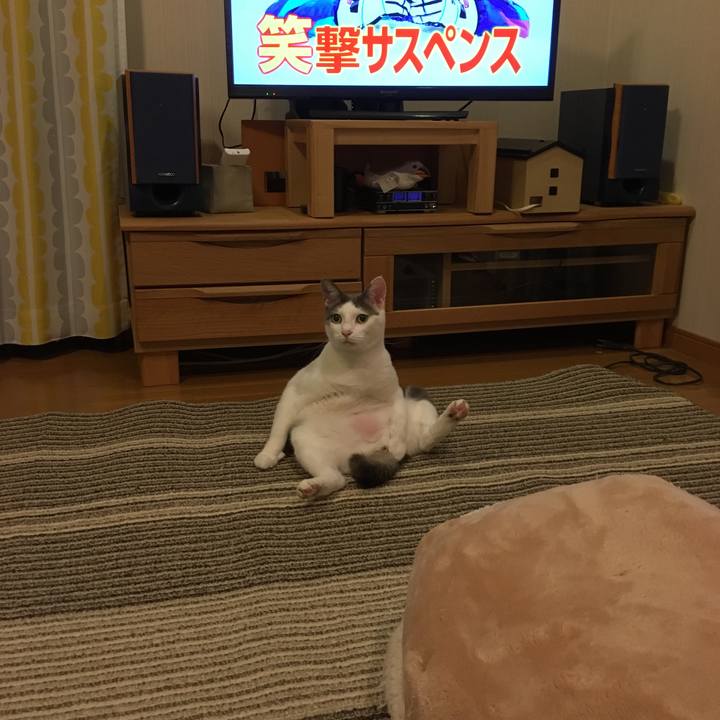 44bee824 8237 48df 8496 24a4d4251d37