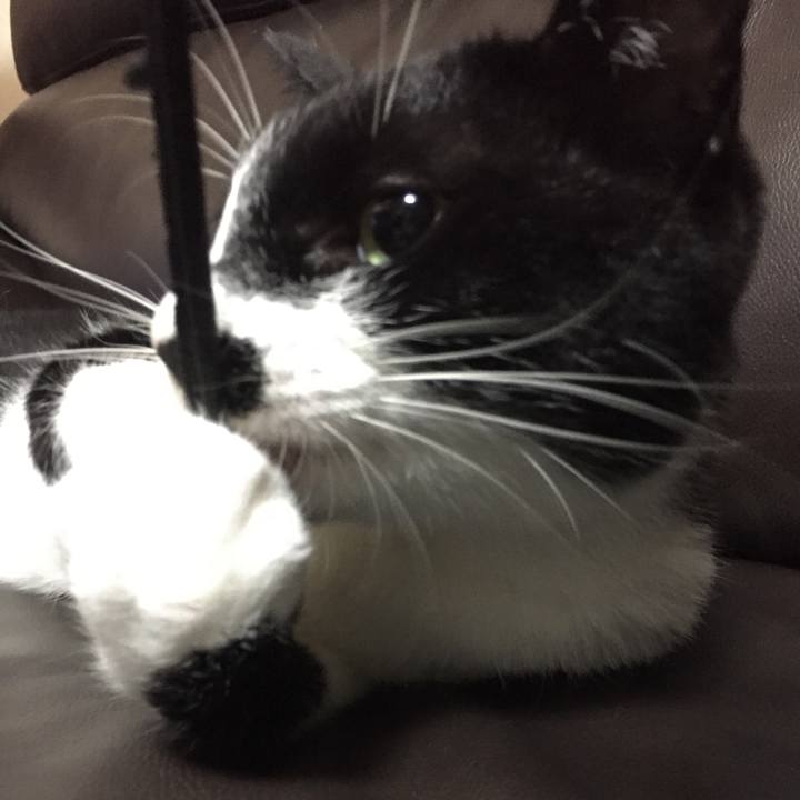 44bfe3ee 66e4 41d4 8085 a6bddc0125eb