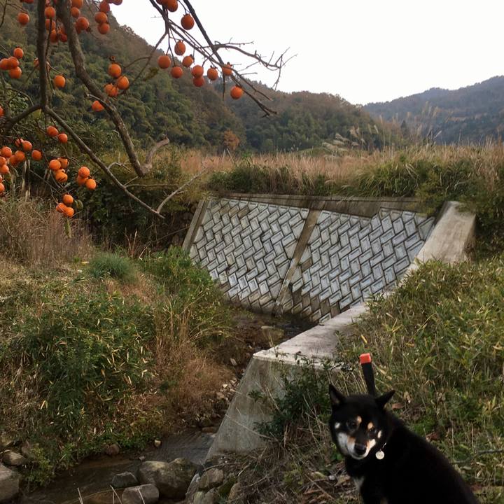 44c06cd6 6f01 4ce4 8890 c8238c02e78d