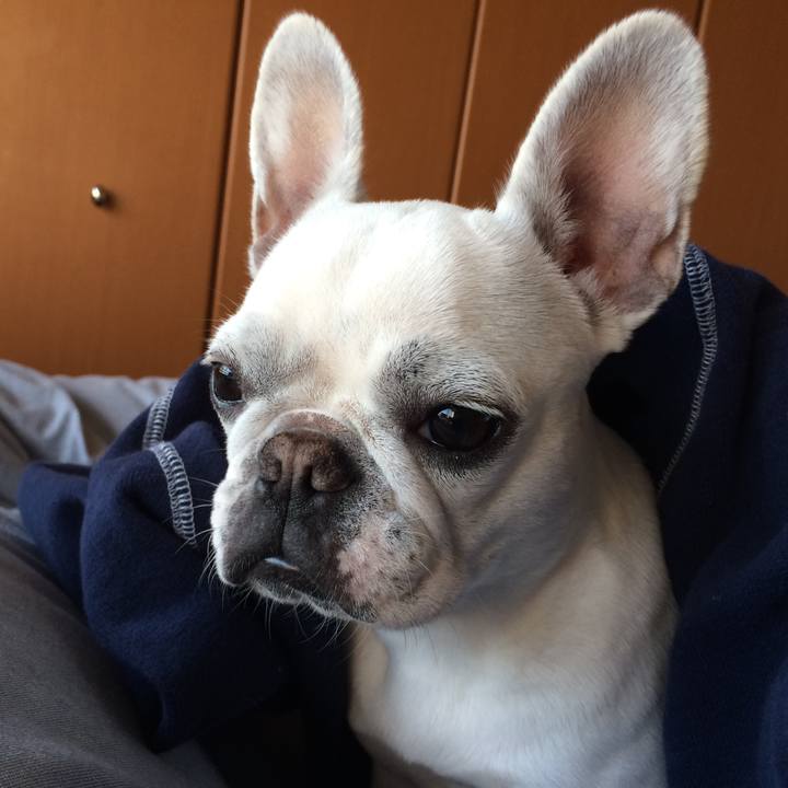 44c08ea9 644c 4fdd b322 e37a1601e6fd