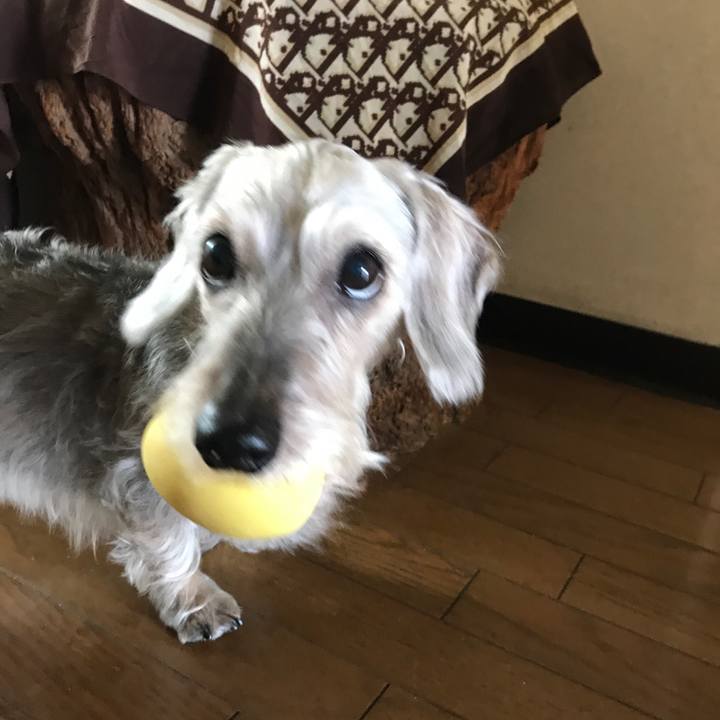 44c12da3 efb7 445f 9f1c caefda44d56b