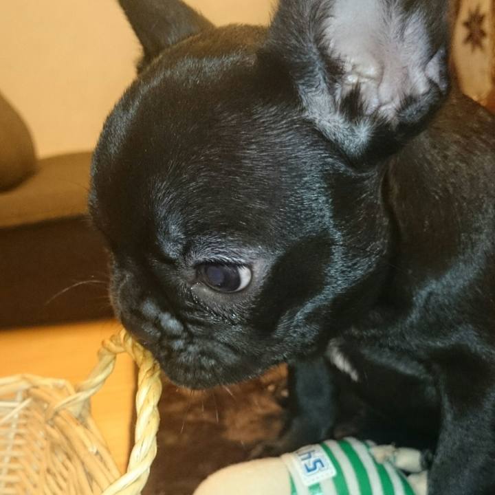 44c18aef d650 48db 8b11 b9d9df6538e3