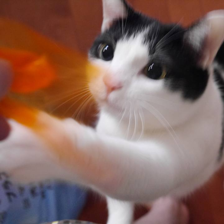 44c1b940 0100 446c 91f5 0c6563f27971