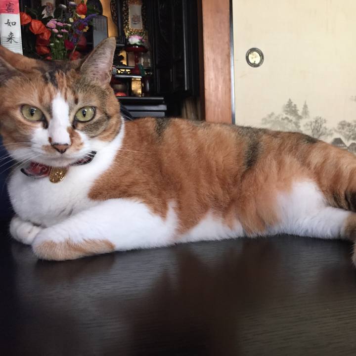 44c26782 5b2d 4929 bd83 8a42b2b28b38