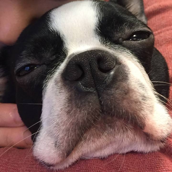 44c2e3e5 0510 45ee 8821 7bd3883bf1ac