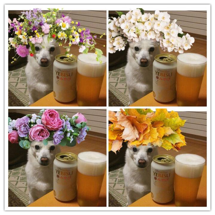 44c34c32 e338 4b3b 940e 5b6c1ac78910