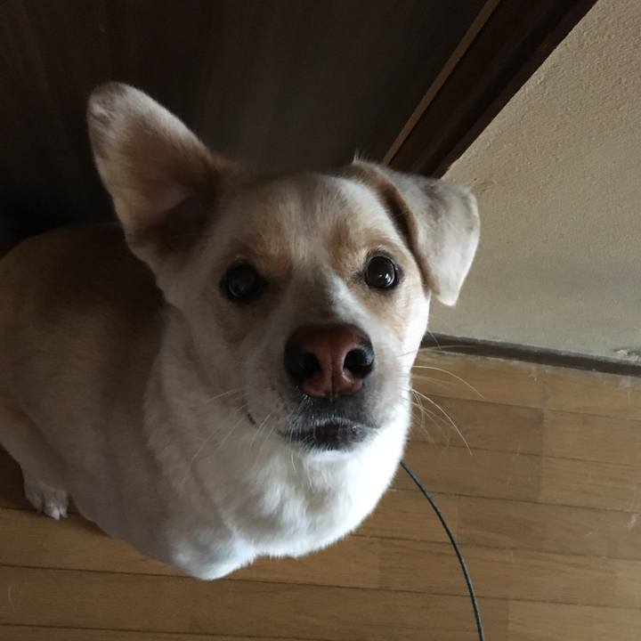 44c38a86 53d8 4e42 a9f0 f70c73c91430