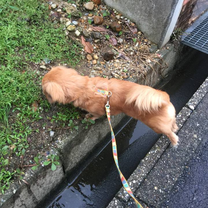 44c38da7 308c 4c6c a1aa 07c5b3274ab3