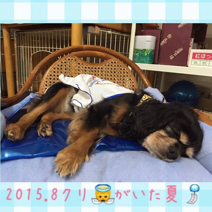 44c3cc9f 0bde 4499 b007 ea26f78ae700