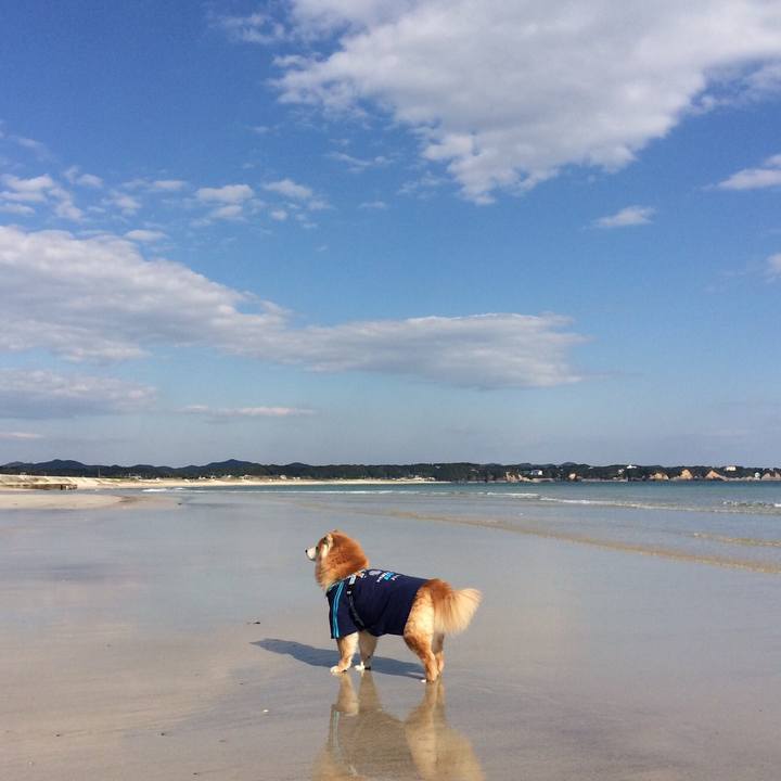 44c45f1e c6e2 477b 8dfb 014bf0df11d3