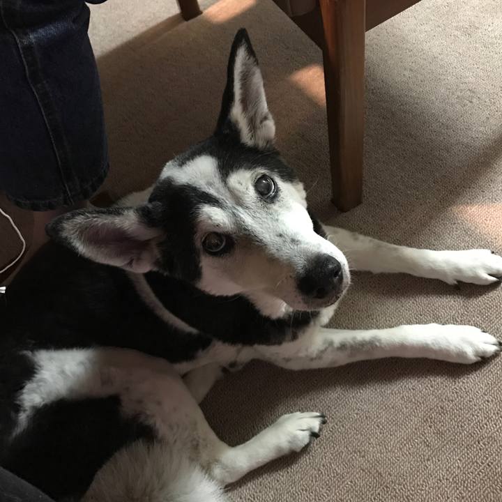 44c46aa5 a3a6 4094 9dd9 9f644f6c7631