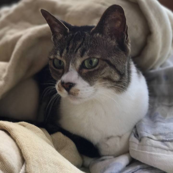 44c5cd61 f946 43fb a282 d8de10c8be51