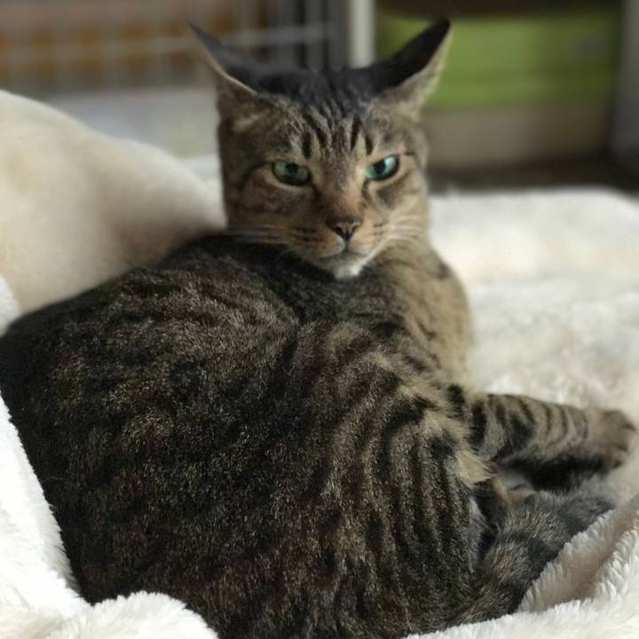 44c664f1 4fbc 49d5 824b bbfb2fa5c3cc