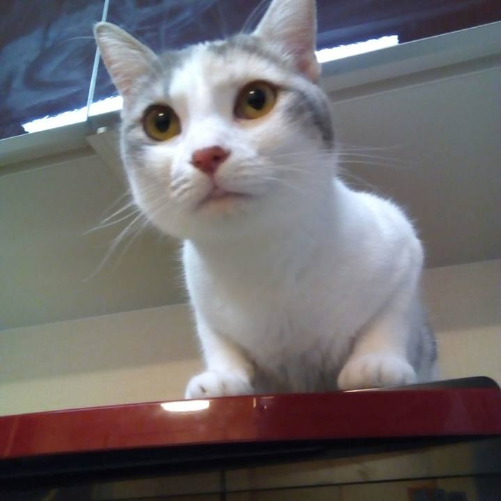 44c6d3ee 9784 4232 9d2c 80da17487391