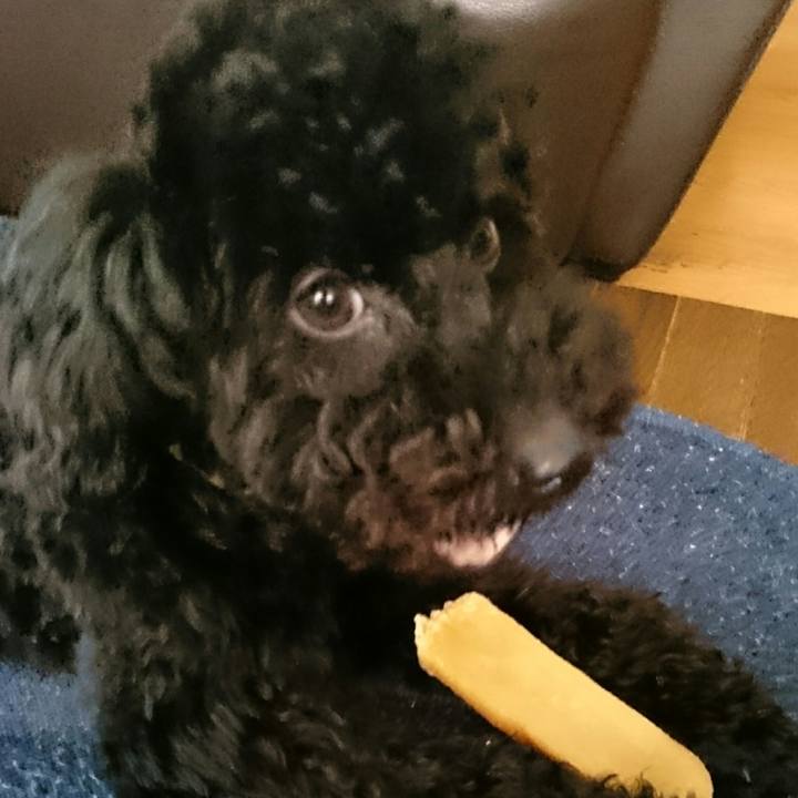 44c70158 ff6b 4df5 aae5 9f65f162a0fb