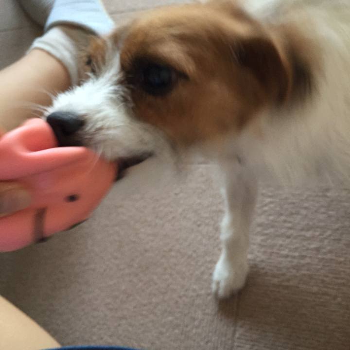 44c7167d 114f 43c2 80d4 f5bedcde62a4